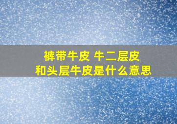 裤带牛皮 牛二层皮 和头层牛皮是什么意思